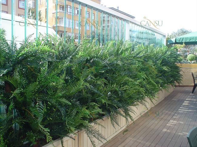 Çim Duvar, Dekoratif Çit, Çim Çit, Şimşir Duvar, Çiçekli Duvar, Bitki Duvar, Yapay Çim Duvar, Yapay Çim Çit